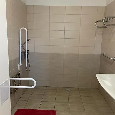 Gato Stara Role Karlovy Vary