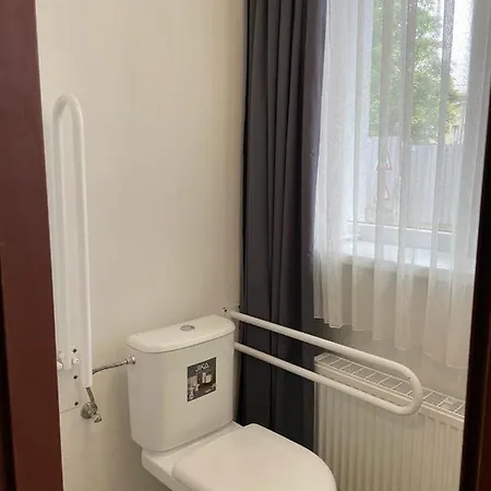 Gato Stara Role Karlovy Vary