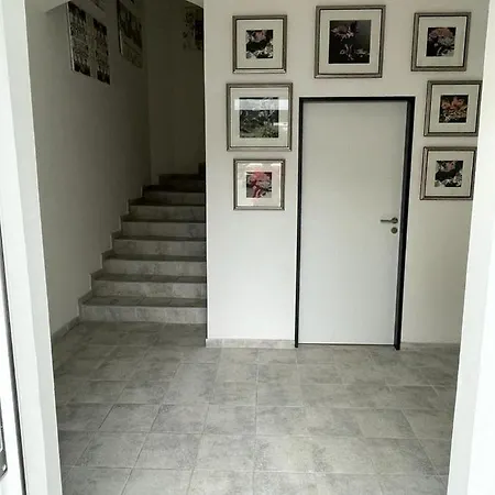 Gato Stara Role * Karlovy Vary