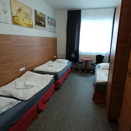 Gato Stara Role Karlovy Vary