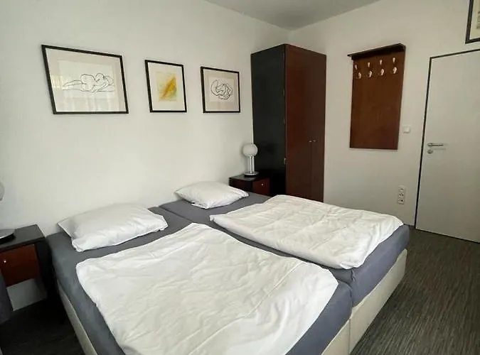 Gato Stara Role Lägenhet Karlovy Vary