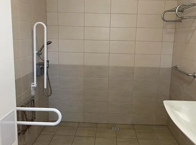 Gato Stara Role Karlovy Vary