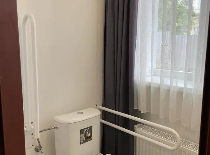 Gato Stara Role Karlovy Vary