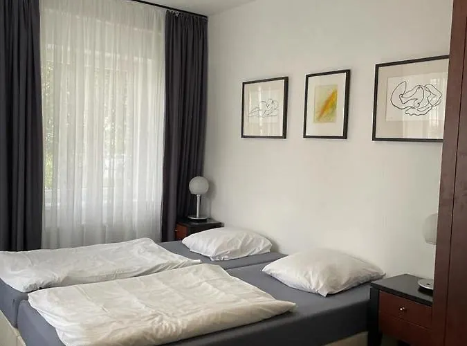 Gato Stara Role * Karlovy Vary