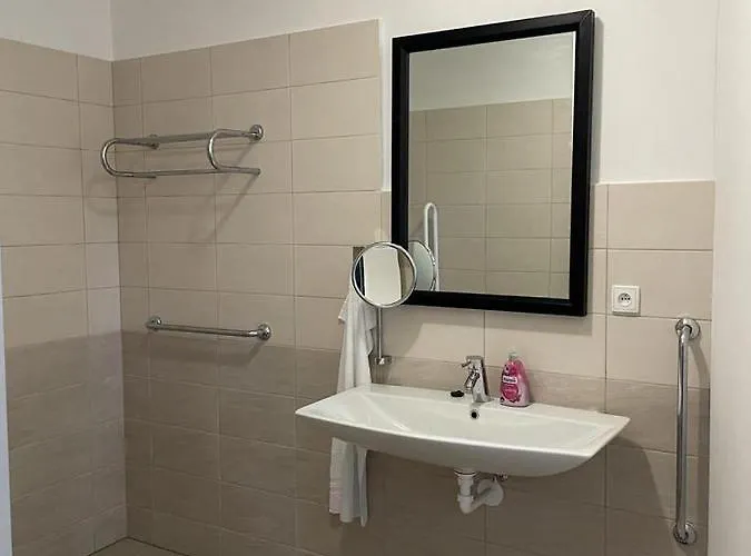 Gato Stara Role Karlovy Vary