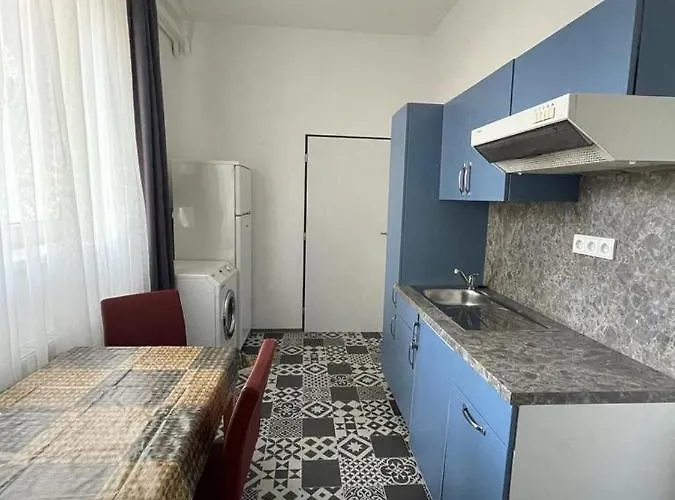 Gato Stara Role Karlovy Vary