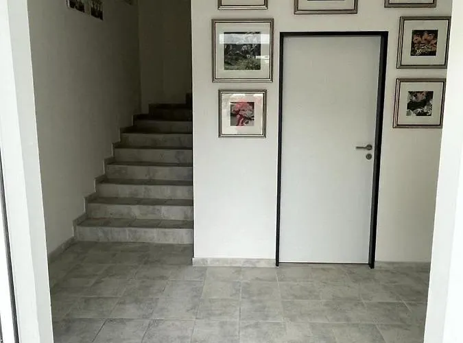 Gato Stara Role * Karlovy Vary