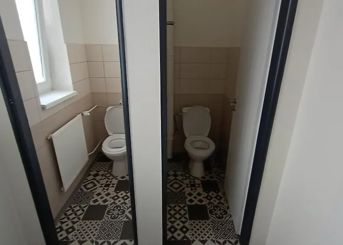 Gato Stara Role * Karlovy Vary