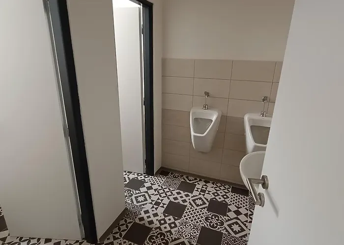 Gato Stara Role Karlovy Vary